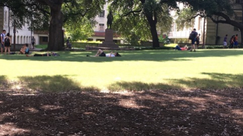Napping Lawn in 2017 (Confederate Statue in Background)